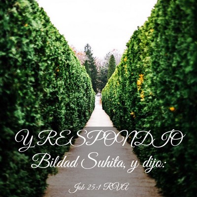 Picture 03 - Job 25:1 RVA - Y RESPONDIO Bildad Suhita, y - Bible Verse Picture