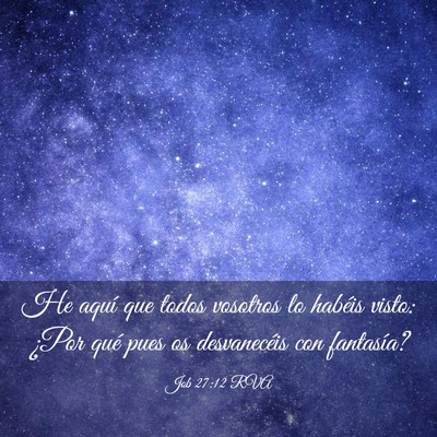 Picture 03 - Job 27:12 RVA - He aquí que todos vosotros lo habéis visto: - Bible Verse Picture