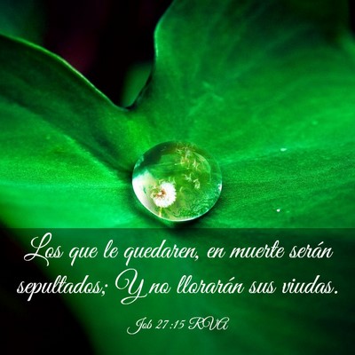 Picture 03 - Job 27:15 RVA - Los que le quedaren, en muerte serán sepultados; - Bible Verse Picture