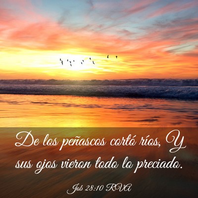 Picture 03 - Job 28:10 RVA - De los peñascos cortó ríos, Y sus ojos vieron - Bible Verse Picture