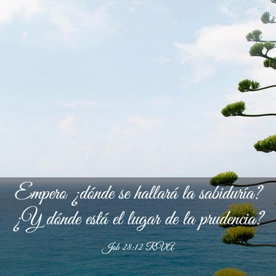 Picture 03 - Job 28:12 RVA - Empero ¿dónde se hallará la sabiduría? ¿Y - Bible Verse Picture