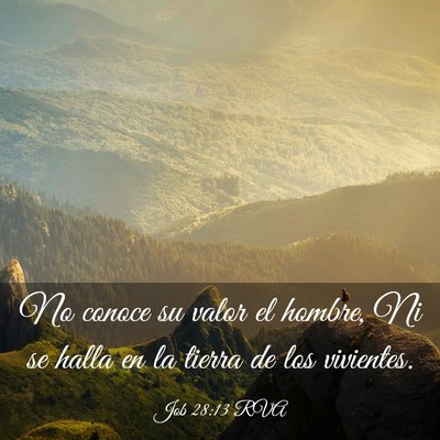 Picture 03 - Job 28:13 RVA - No conoce su valor el hombre, Ni se halla en la - Bible Verse Picture