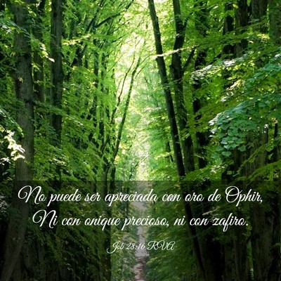 Picture 03 - Job 28:16 RVA - No puede ser apreciada con oro de Ophir, Ni con - Bible Verse Picture