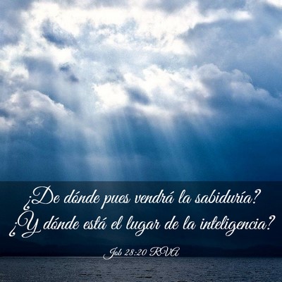 Picture 03 - Job 28:20 RVA - ¿De dónde pues vendrá la sabiduría? ¿Y - Bible Verse Picture