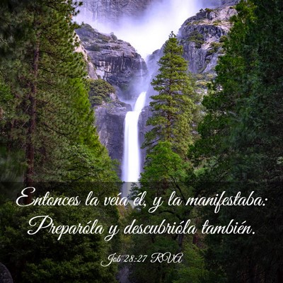 Picture 03 - Job 28:27 RVA - Entonces la veía él, y la manifestaba: - Bible Verse Picture