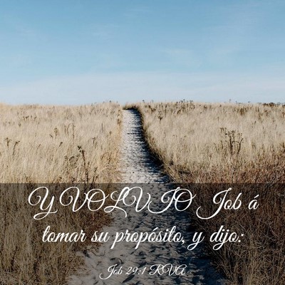 Picture 03 - Job 29:1 RVA - Y VOLVIO Job á tomar su propósito, y - Bible Verse Picture