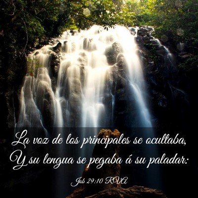 Picture 03 - Job 29:10 RVA - La voz de los principales se ocultaba, Y su - Bible Verse Picture