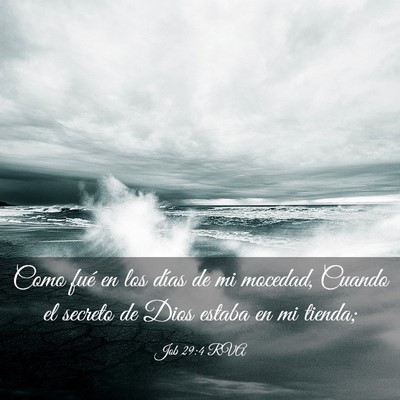 Picture 03 - Job 29:4 RVA - Como fué en los días de mi mocedad, Cuando el - Bible Verse Picture