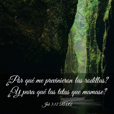 Picture 03 - Job 3:12 RVA - ¿Por qué me previnieron las rodillas? ¿Y para - Bible Verse Picture