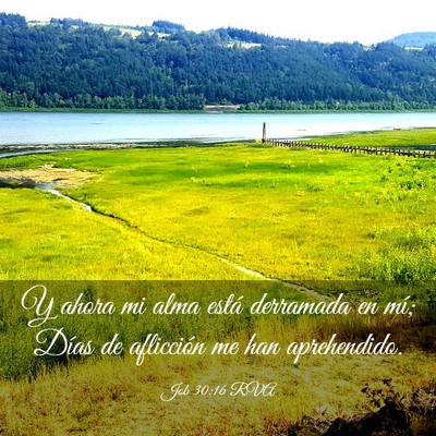 Picture 03 - Job 30:16 RVA - Y ahora mi alma está derramada en mí; Días de - Bible Verse Picture