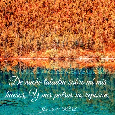 Picture 03 - Job 30:17 RVA - De noche taladra sobre mí mis huesos, Y mis - Bible Verse Picture