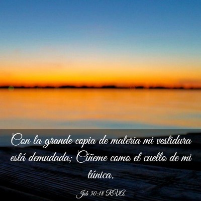 Picture 03 - Job 30:18 RVA - Con la grande copia de materia mi vestidura está - Bible Verse Picture