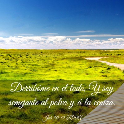 Picture 03 - Job 30:19 RVA - Derribóme en el lodo, Y soy semejante al polvo y - Bible Verse Picture
