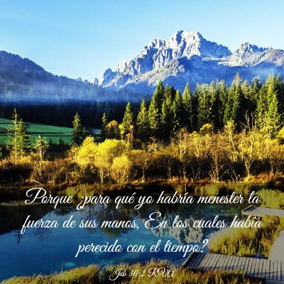 Picture 03 - Job 30:2 RVA - Porque ¿para qué yo habría menester la fuerza - Bible Verse Picture