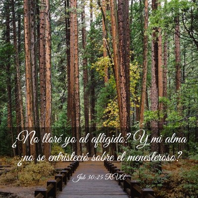 Picture 03 - Job 30:25 RVA - ¿No lloré yo al afligido? Y mi alma ¿no se - Bible Verse Picture