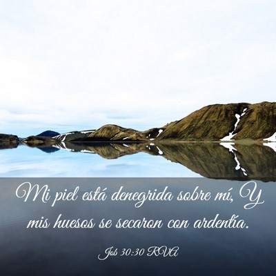 Picture 03 - Job 30:30 RVA - Mi piel está denegrida sobre mí, Y mis huesos - Bible Verse Picture