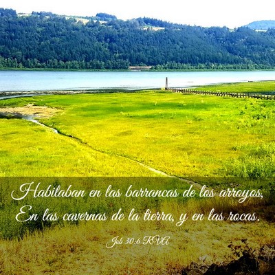 Picture 03 - Job 30:6 RVA - Habitaban en las barrancas de los arroyos, En las - Bible Verse Picture