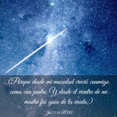 Picture 03 - Job 31:18 RVA - (Porque desde mi mocedad creció conmigo como con - Bible Verse Picture
