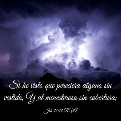 Picture 03 - Job 31:19 RVA - Si he visto que pereciera alguno sin vestido, Y - Bible Verse Picture