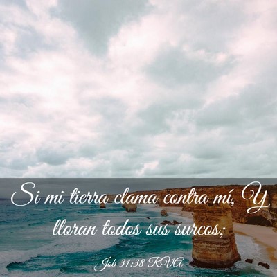 Picture 03 - Job 31:38 RVA - Si mi tierra clama contra mí, Y lloran todos sus - Bible Verse Picture
