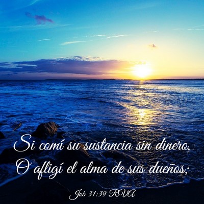 Picture 03 - Job 31:39 RVA - Si comí su sustancia sin dinero, O afligí el - Bible Verse Picture