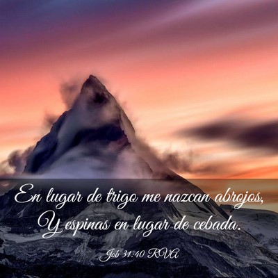 Picture 03 - Job 31:40 RVA - En lugar de trigo me nazcan abrojos, Y espinas en - Bible Verse Picture
