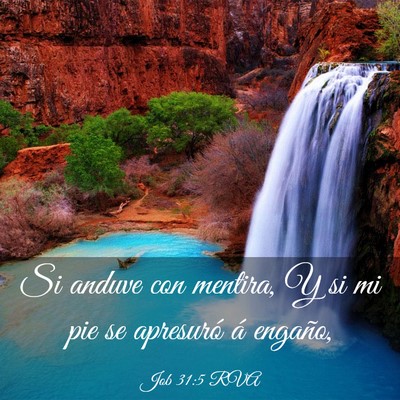 Picture 03 - Job 31:5 RVA - Si anduve con mentira, Y si mi pie se apresuró - Bible Verse Picture