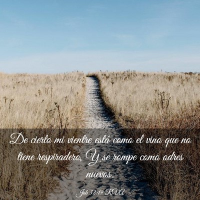 Picture 03 - Job 32:19 RVA - De cierto mi vientre está como el vino que no - Bible Verse Picture