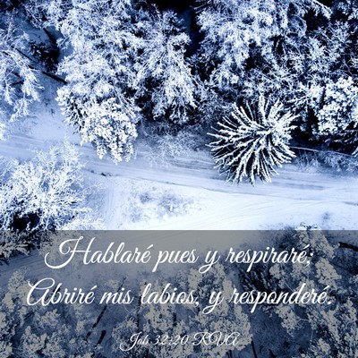 Picture 03 - Job 32:20 RVA - Hablaré pues y respiraré; Abriré mis labios, y - Bible Verse Picture