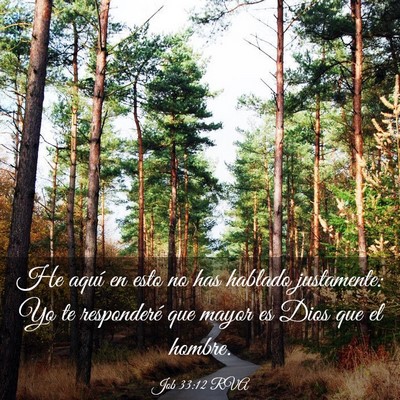 Picture 03 - Job 33:12 RVA - He aquí en esto no has hablado justamente: Yo te - Bible Verse Picture