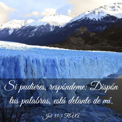 Picture 03 - Job 33:5 RVA - Si pudieres, respóndeme: Dispón tus palabras, - Bible Verse Picture