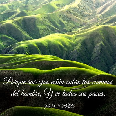 Picture 03 - Job 34:21 RVA - Porque sus ojos están sobre los caminos del - Bible Verse Picture