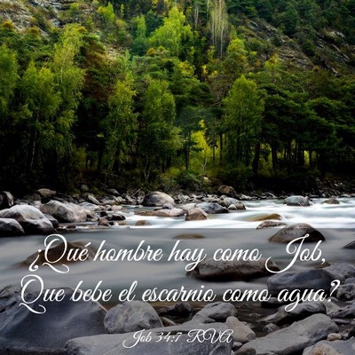 Picture 03 - Job 34:7 RVA - ¿Qué hombre hay como Job, Que bebe el escarnio - Bible Verse Picture