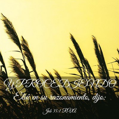 Picture 03 - Job 35:1 RVA - Y PROCEDIENDO Eliú en su razonamiento, - Bible Verse Picture
