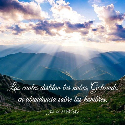 Picture 03 - Job 36:28 RVA - Las cuales destilan las nubes, Goteando en - Bible Verse Picture