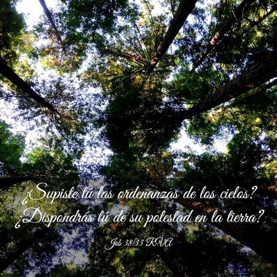 Picture 03 - Job 38:33 RVA - ¿Supiste tú las ordenanzas de los cielos? - Bible Verse Picture