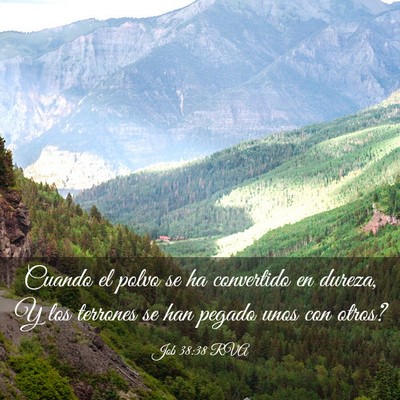 Picture 03 - Job 38:38 RVA - Cuando el polvo se ha convertido en dureza, Y los - Bible Verse Picture