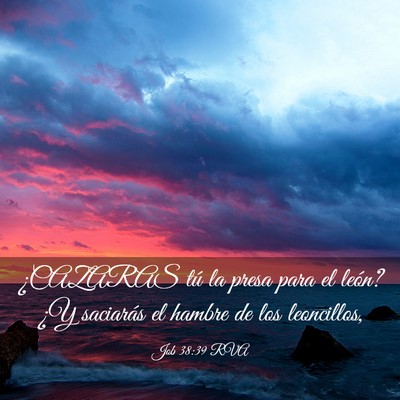 Picture 03 - Job 38:39 RVA - ¿CAZARAS tú la presa para el león? ¿Y - Bible Verse Picture