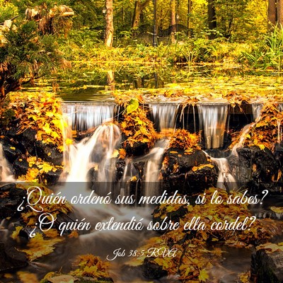 Picture 03 - Job 38:5 RVA - ¿Quién ordenó sus medidas, si lo sabes? ¿O - Bible Verse Picture