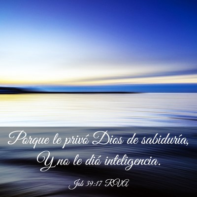 Picture 03 - Job 39:17 RVA - Porque le privó Dios de sabiduría, Y no le dió - Bible Verse Picture
