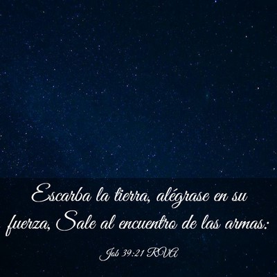 Picture 03 - Job 39:21 RVA - Escarba la tierra, alégrase en su fuerza, Sale - Bible Verse Picture