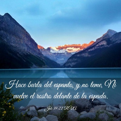 Picture 03 - Job 39:22 RVA - Hace burla del espanto, y no teme, Ni vuelve el - Bible Verse Picture