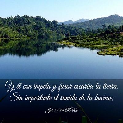 Picture 03 - Job 39:24 RVA - Y él con ímpetu y furor escarba la tierra, Sin - Bible Verse Picture