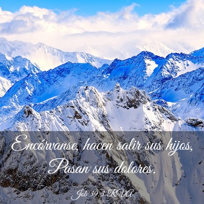 Picture 03 - Job 39:3 RVA - Encórvanse, hacen salir sus hijos, Pasan sus - Bible Verse Picture