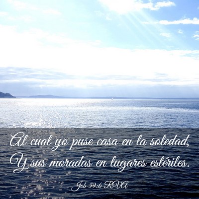 Picture 03 - Job 39:6 RVA - Al cual yo puse casa en la soledad, Y sus moradas - Bible Verse Picture