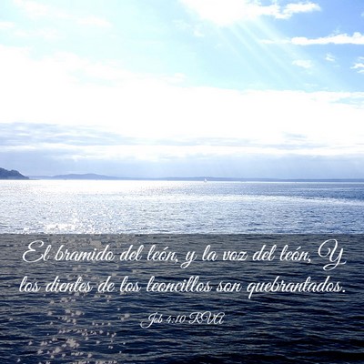 Picture 03 - Job 4:10 RVA - El bramido del león, y la voz del león, Y los - Bible Verse Picture
