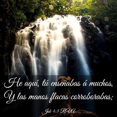 Picture 03 - Job 4:3 RVA - He aquí, tú enseñabas á muchos, Y las manos - Bible Verse Picture