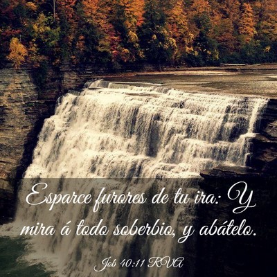 Picture 03 - Job 40:11 RVA - Esparce furores de tu ira: Y mira á todo - Bible Verse Picture