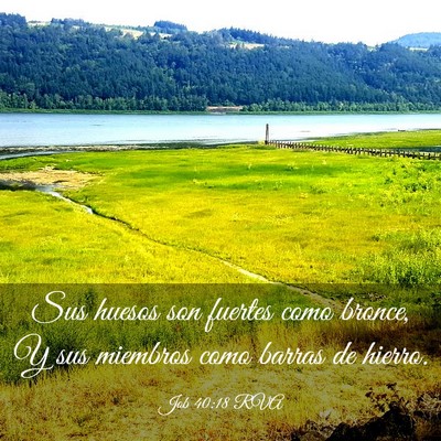 Picture 03 - Job 40:18 RVA - Sus huesos son fuertes como bronce, Y sus - Bible Verse Picture