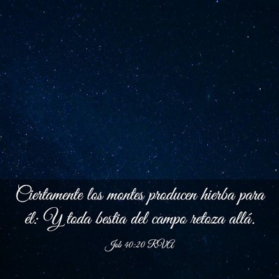 Picture 03 - Job 40:20 RVA - Ciertamente los montes producen hierba para él: - Bible Verse Picture